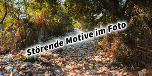 Beitragsbild des Blogbeitrags Störende Motive im Foto