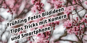 Beitragsbild des Blogbeitrags Frühling Fotos und Videos Bildideen Tipps Tricks mit Kamera und Smartphone 