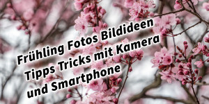 Beitragsbild des Blogbeitrags Frühling Fotos und Videos Bildideen Tipps Tricks mit Kamera und Smartphone
