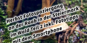 Beitragsbild des Blogbeitrags Herbst Fotospaziergang an der Raab in der Steiermark im Wald Teil 2 inkl. Fototipps mit dem Smartphone