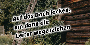 Beitragsbild des Blogbeitrags Auf das Dach locken, um dann die Leiter wegzuziehen 36 Strategeme