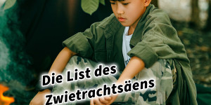 Beitragsbild des Blogbeitrags Die List des Zwietrachtsäens 36 Strategeme