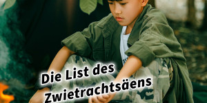 Beitragsbild des Blogbeitrags Die List des Zwietrachtsäens 36 Strategeme 