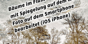 Beitragsbild des Blogbeitrags Bäume im Fluss mit Spiegelung auf dem Wasser Foto auf dem iOS Smartphone Handy Phone bearbeitet. Fotografieren und Filmen mit dem Smartphone: Bessere Fotos und Videos mit dem Handy für Freizeit, Hobby und Business 