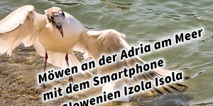 Beitragsbild des Blogbeitrags Möwen an der Adria am Meer mit dem Smartphone in Slowenien Izola Isola fotografieren und filmen. Fotografieren und Filmen mit dem Smartphone: Bessere Fotos und Videos mit dem Handy für Freizeit, Hobby und Business