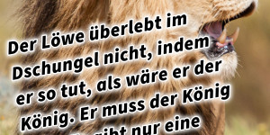 Beitragsbild des Blogbeitrags Der Löwe überlebt im Dschungel nicht, indem er so tut, als wäre er der König. Er muss der König sein. Es gibt nur eine Regel im Dschungel: Der Löwe frisst, wenn er Hunger hat. 