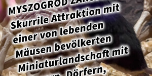 Beitragsbild des Blogbeitrags MYSZOGRÓD ZAKOPANE Skurrile Attraktion mit einer von lebenden Mäusen bevölkerten Miniaturlandschaft mit Häusern, Dörfern, Eisenbahnstrecke & Skigebiet