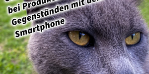 Beitragsbild des Blogbeitrags Unscharfer Hintergrund bei Produktfotos, Tieren, Personen oder Gegenständen mit dem Smartphone und DSLR Kamera. Fotografieren und Filmen mit dem Smartphone: Bessere Fotos und Videos mit dem Handy für Freizeit, Hobby und Business