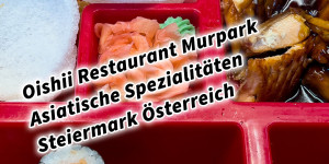 Beitragsbild des Blogbeitrags Oishii Restaurant Murpark Graz Asiatische Spezialitäten Steiermark Österreich