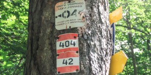 Beitragsbild des Blogbeitrags easyname bergauf! Wie war unser erster Wandertag?