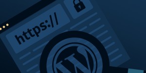 Beitragsbild des Blogbeitrags Wie du deine WordPress Website komplett auf SSL umstellst