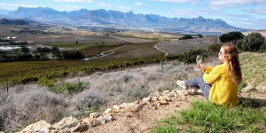 Beitragsbild des Blogbeitrags Things to do in Stellenbosch, South Africa – A Guide to Wine Cultivation and Culture in the Western Cape 