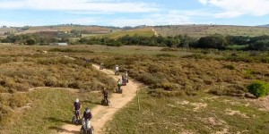 Beitragsbild des Blogbeitrags Adventure Day Trips From Cape Town, South Africa – Nature Around the Mother City