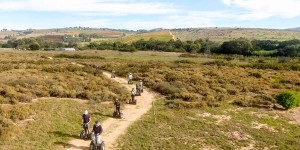 Beitragsbild des Blogbeitrags Unique Day Trips From Cape Town, South Africa – Nature and Culture Around the Mother City