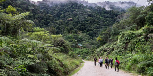 Beitragsbild des Blogbeitrags Ecuador Amazon Rainforest Guide – Local Living in the Most Diverse Biosphere on Earth