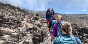 Beitragsbild des Blogbeitrags What its Like to Trek the Kilimanjaro Lemosho Route in 8 Days
