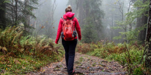 Beitragsbild des Blogbeitrags Visiting the Black Forest in Germany – Letting the Forest Be