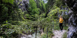 Beitragsbild des Blogbeitrags Things to do in Alpbach in Summer – Austrias Prettiest Village in a Different Season