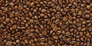 Beitragsbild des Blogbeitrags Ein Kaffee, der dir deine Miete zahlen kann. 