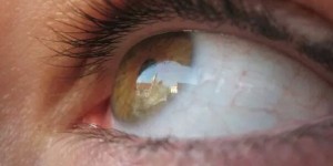 Beitragsbild des Blogbeitrags Nachricht an DICH