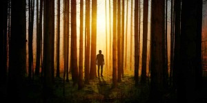 Beitragsbild des Blogbeitrags Ghost