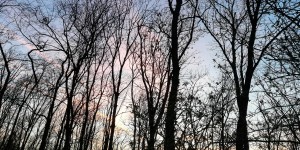 Beitragsbild des Blogbeitrags Perception