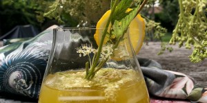 Beitragsbild des Blogbeitrags Oxymel reloaded with Meadowsweet & Ginger