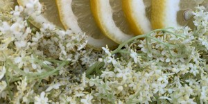 Beitragsbild des Blogbeitrags TRARA, APPLAUS UND TUSCH …