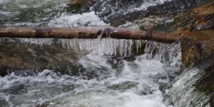 Beitragsbild des Blogbeitrags Winter aus Sicht der traditionellen chinesischen Medizin