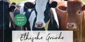 Beitragsbild des Blogbeitrags Vegan für die Tiere: Ethische Gründe für eine pflanzliche Ernährung