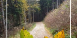 Beitragsbild des Blogbeitrags Wandern im Herbst – Impressionen