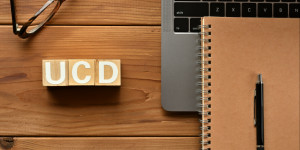 Beitragsbild des Blogbeitrags User Centered Design – mehr als Testen