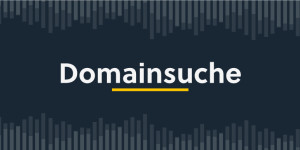 Beitragsbild des Blogbeitrags Domainsuche 