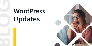Beitragsbild des Blogbeitrags WordPress: Darum solltest du es regelmäßig updaten