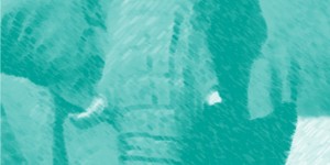 Beitragsbild des Blogbeitrags 6. Ausgabe