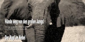 Beitragsbild des Blogbeitrags 7. Ausgabe