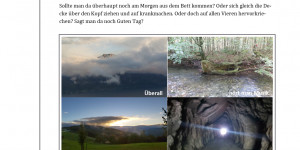 Beitragsbild des Blogbeitrags Artikel: Was ist nur los mit uns?