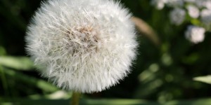 Beitragsbild des Blogbeitrags Schlechte Ernährungsgewohnheiten wegpusten?