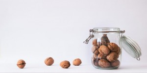 Beitragsbild des Blogbeitrags Brainfood