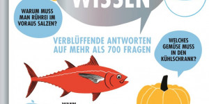 Beitragsbild des Blogbeitrags Buchrezension Küchenwissen