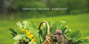 Beitragsbild des Blogbeitrags Buchrezension Wildkräuter