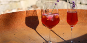 Beitragsbild des Blogbeitrags Shrub Rezept