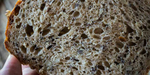 Beitragsbild des Blogbeitrags Körndlbrot – Kastenbrot mit Saaten und Sauerteig