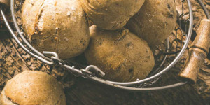 Beitragsbild des Blogbeitrags Maronibrötchen – einfache Brötchen mit Kastanien