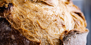 Beitragsbild des Blogbeitrags No-Knead Dinkelbrot – Gelingsicheres Brot für jeden Tag 