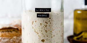 Beitragsbild des Blogbeitrags Lievito Madre ansetzen – so gelingt der italienische Sauerteig