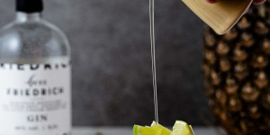 Beitragsbild des Blogbeitrags Pina Colada Torte – mit Herr Friedrich Gin