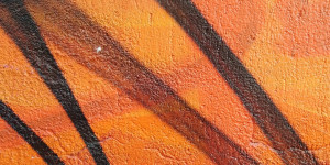 Beitragsbild des Blogbeitrags Personal Branding – einfache Definition & Beispiele
