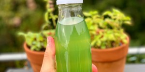 Beitragsbild des Blogbeitrags Basilikumsirup