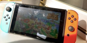 Beitragsbild des Blogbeitrags Ich verstehe Animal Crossing: New Horizons nicht